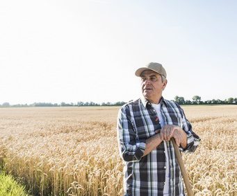 Le Diagnostic d’Exploitation à Céder