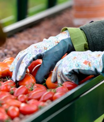 A compter du 1er mai 2020, comment sont indemnisés les dirigeants de société, mandataires sociaux, en arrêt de travail dérogatoire ?