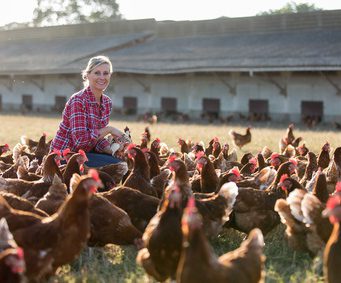 Le prêt participatif exceptionnel de l’Etat  destiné aux entreprises agricoles en difficulté financière