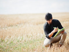 PAC 2023 : réhaussement des aides pour les exploitations en agriculture biologiques